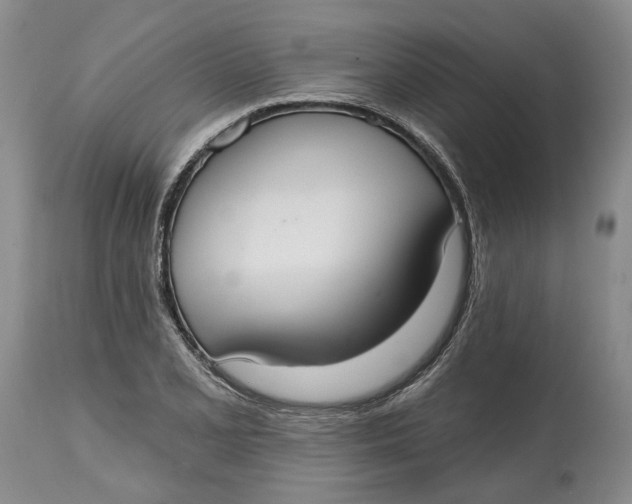 X0000114991077200911161508