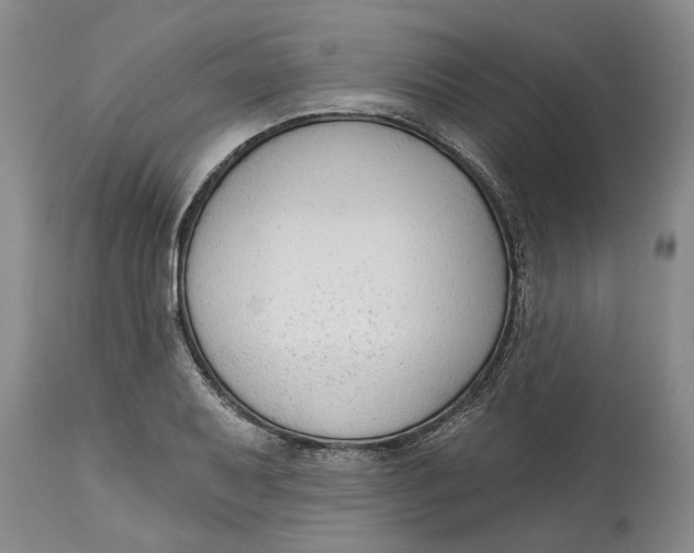 X0000114991079200911161508