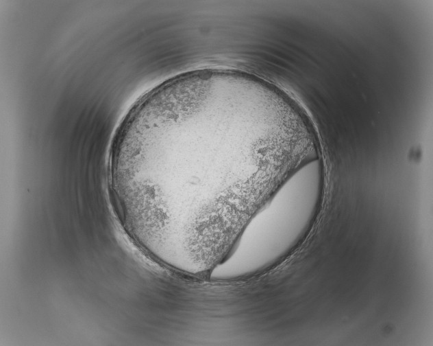 X0000114991080200911161508