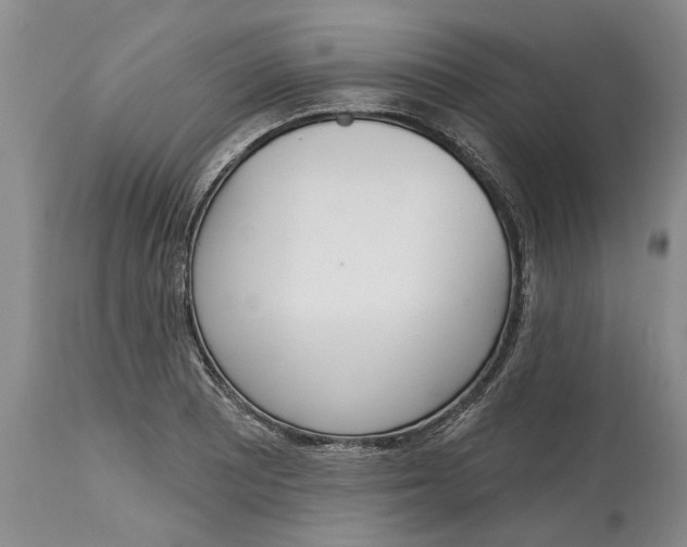 X0000114991081200911161508