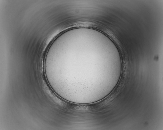 X0000114991083200911161508