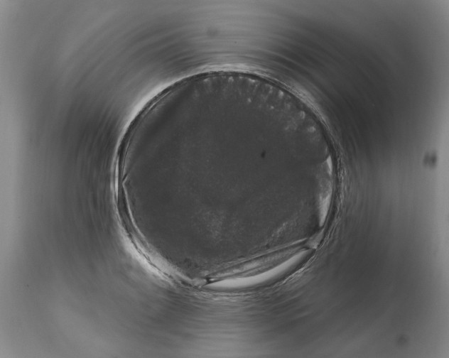 X0000114991084200911161508