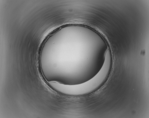 X0000114991085200911161508