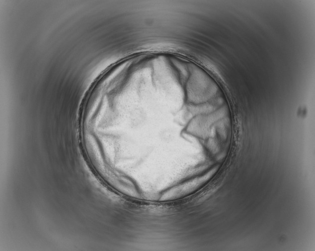 X0000114991087200911161508