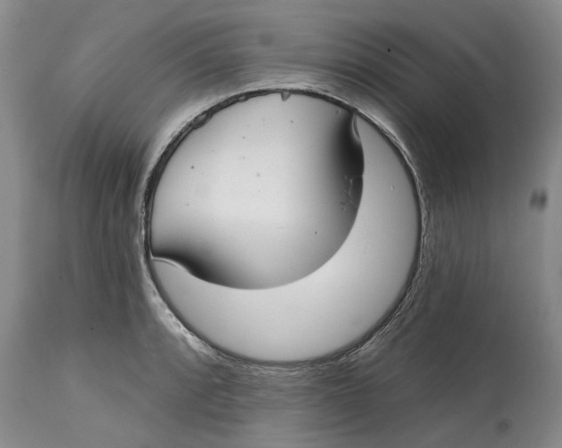 X0000114991088200911161508