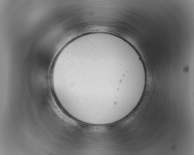 X0000114991090200911161508