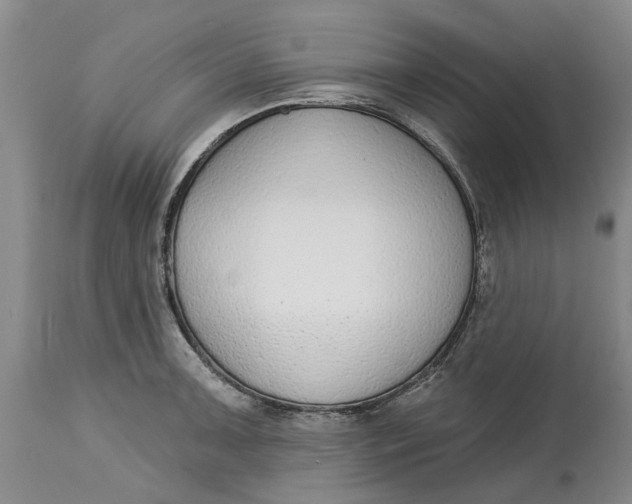 X0000114991091200911161508