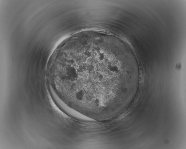 X0000114991095200911161508