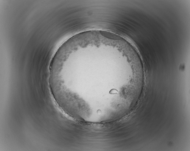 X0000114991096200911161508