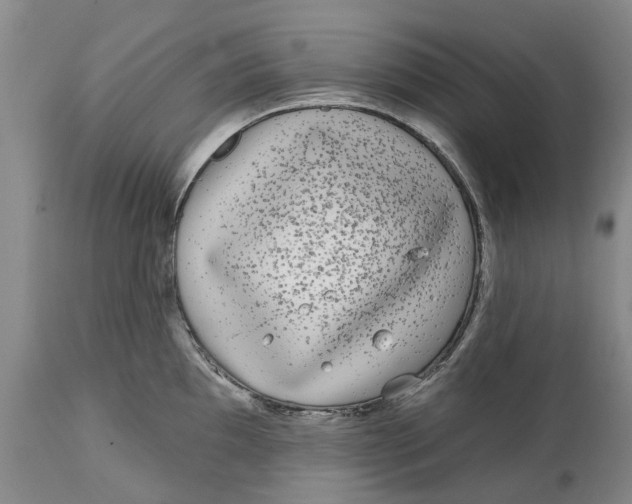 X0000114991097200911161508