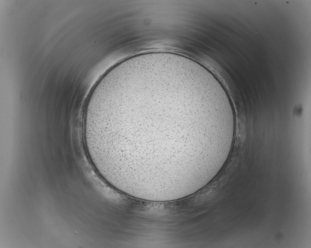 X0000114991098200911161508