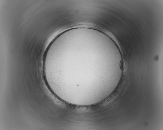 X0000114991099200911161508