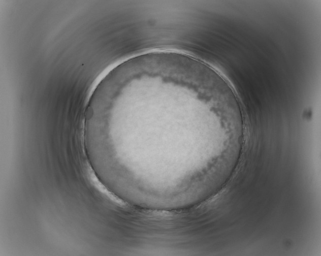 X0000114991100200911161508