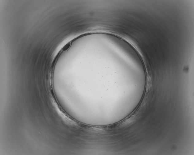 X0000114991101200911161508