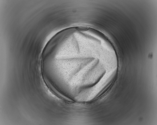 X0000114991102200911161508