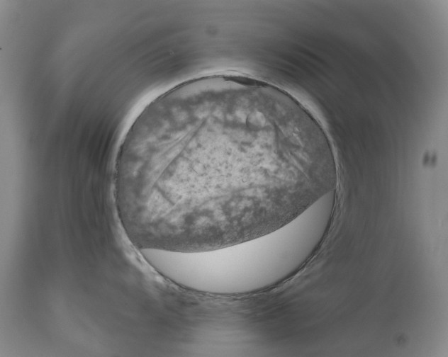 X0000114991104200911161508