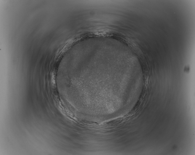 X0000114991106200911161507