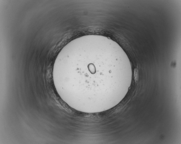 X0000114991107200911161507