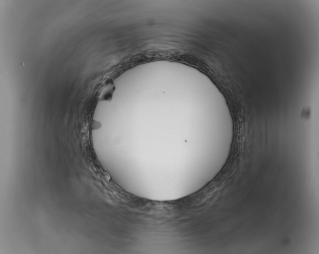 X0000114991109200911161507