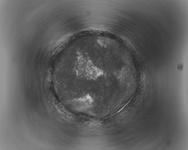 X0000114991110200911161507