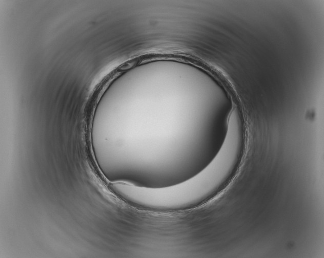 X0000114991114200911161507