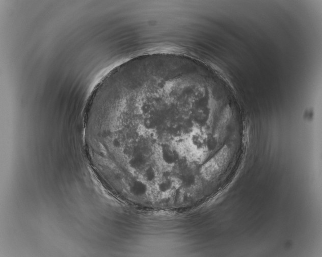 X0000114991117200911161507