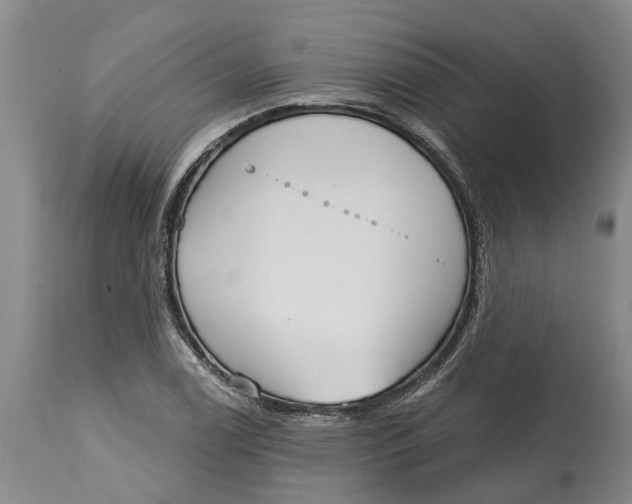 X0000114991122200911161507