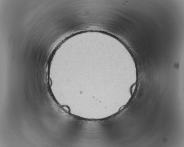 X0000114991126200911161507