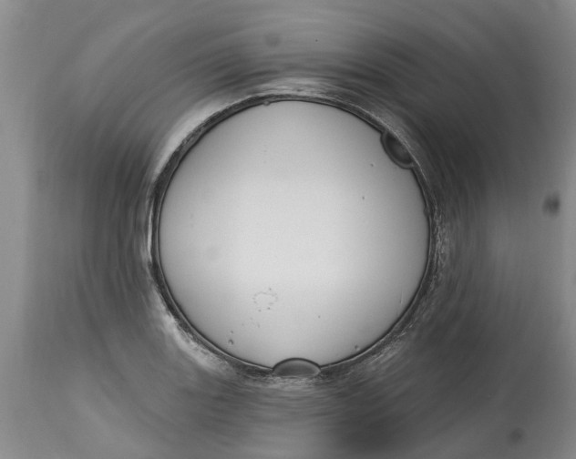 X0000114991131200911161507