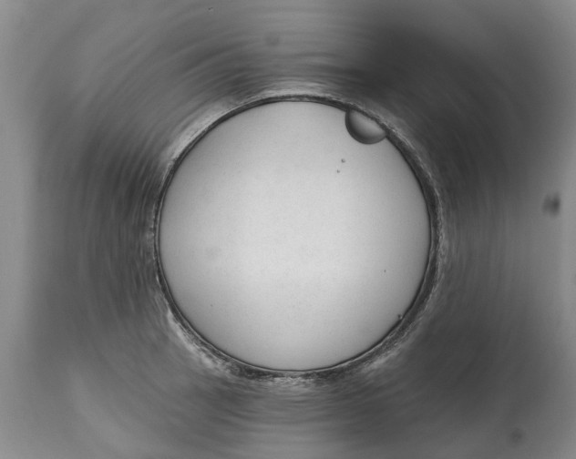 X0000114991137200911161507