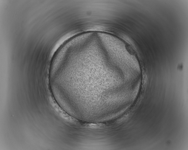 X0000114991138200911161507