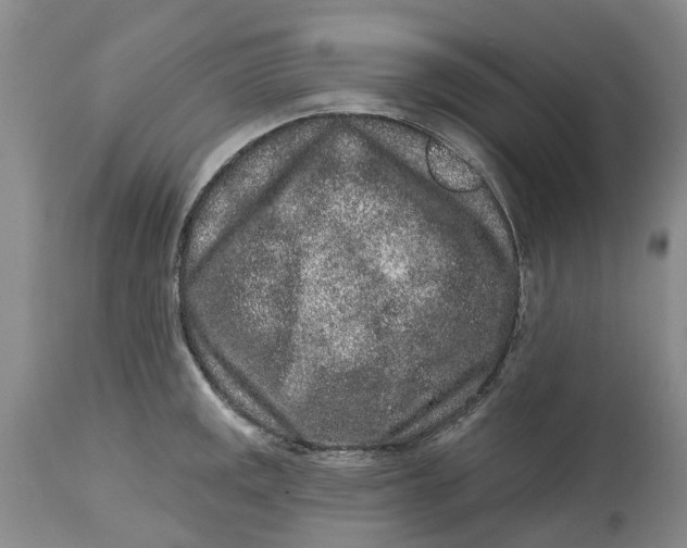 X0000114991141200911161507