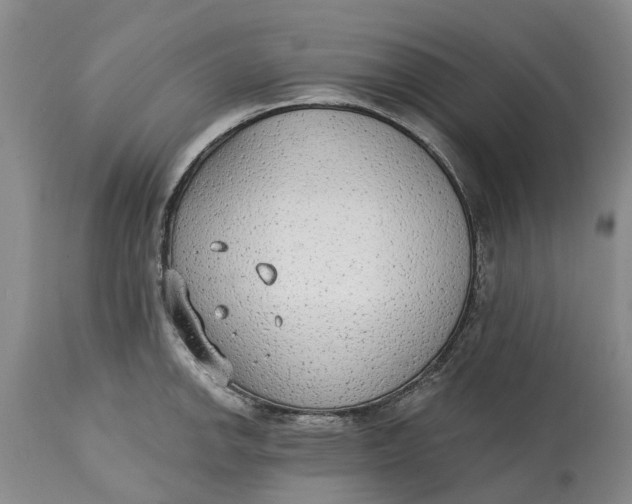 X0000114991142200911161507