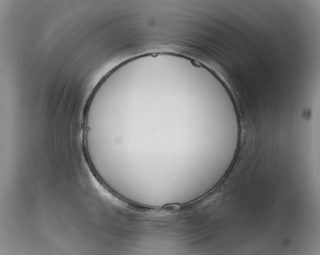 X0000114991143200911161507