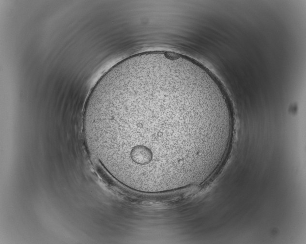 X0000114991145200911161507