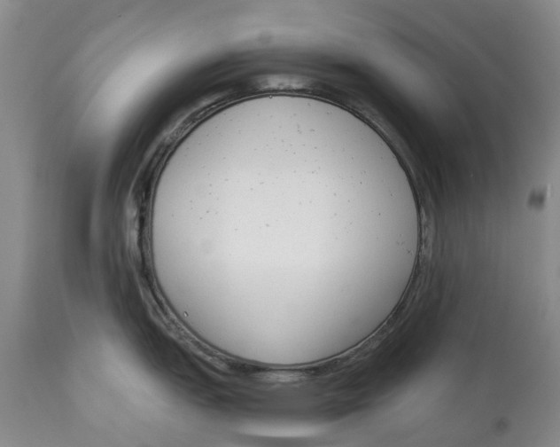 X0000114991151200911161508