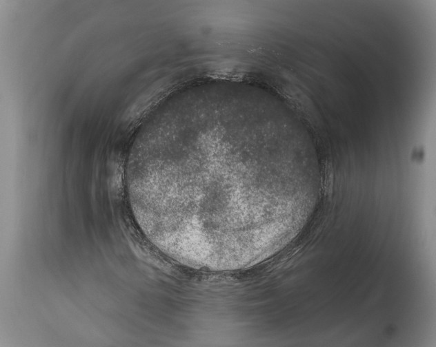 X0000114991154200911161507