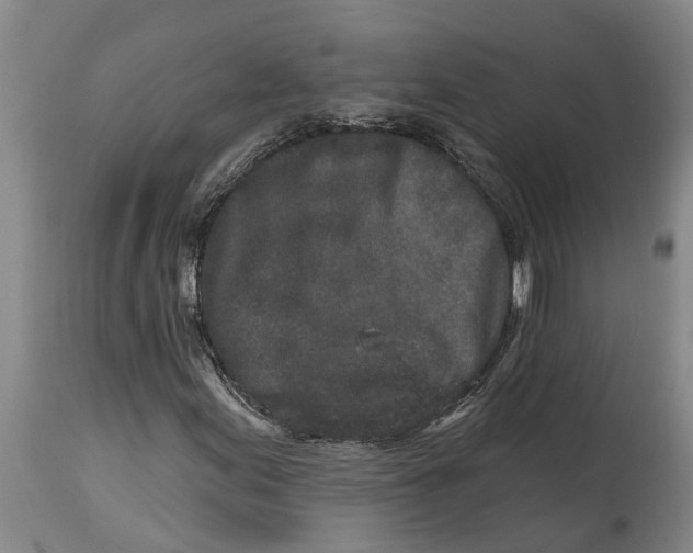 X0000114991155200911161507