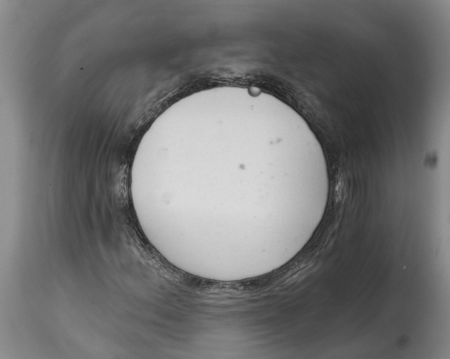 X0000114991156200911161506