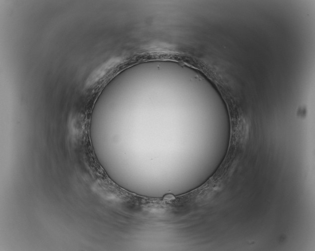 X0000114991157200911161506