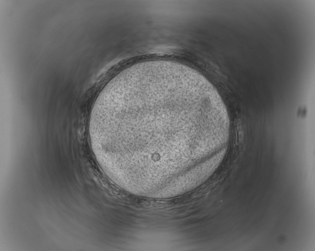 X0000114991158200911161506