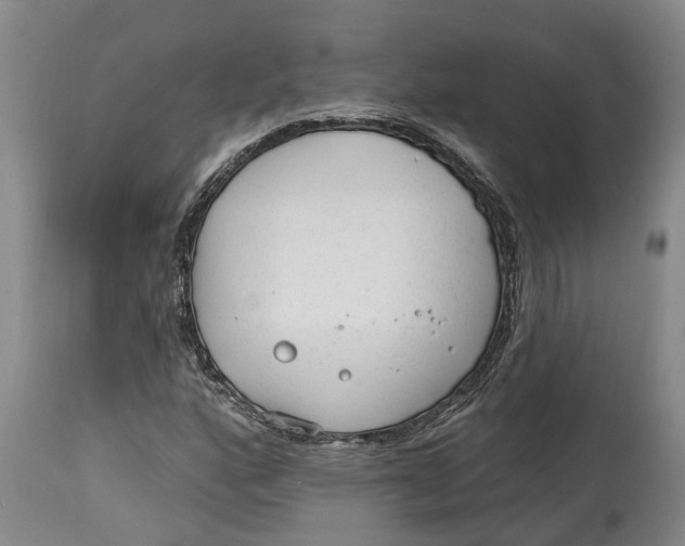 X0000114991160200911161506