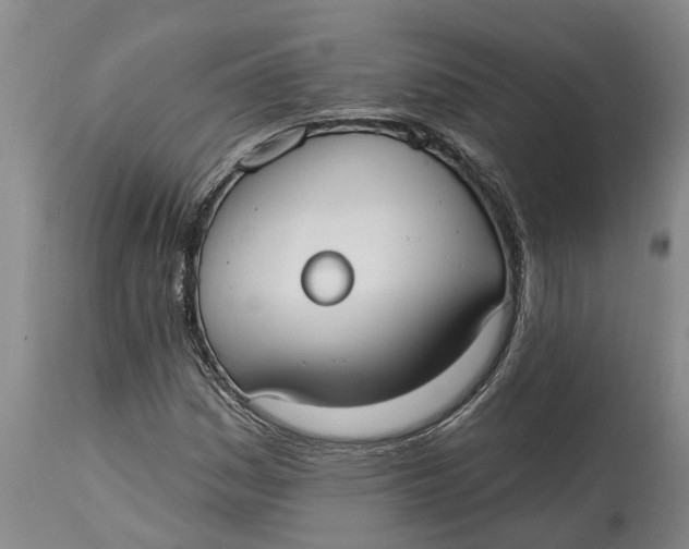 X0000114991161200911161506