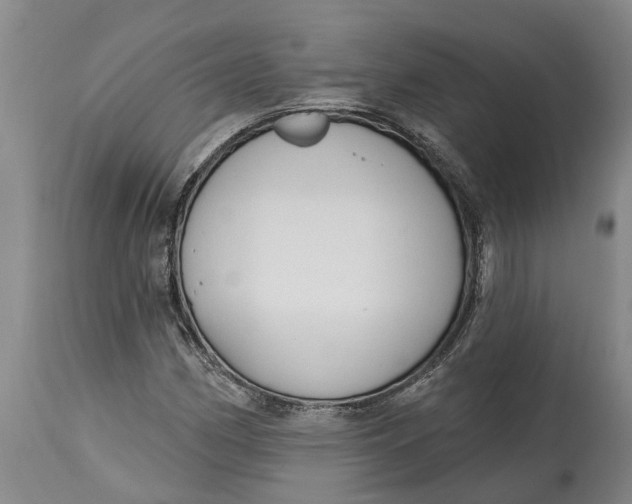 X0000114991162200911161506