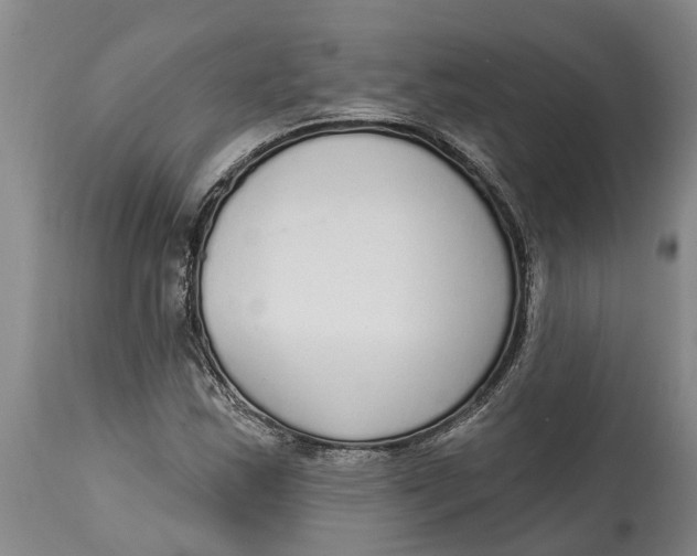 X0000114991163200911161506