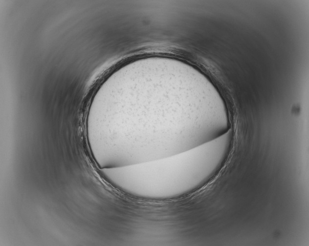 X0000114991164200911161506