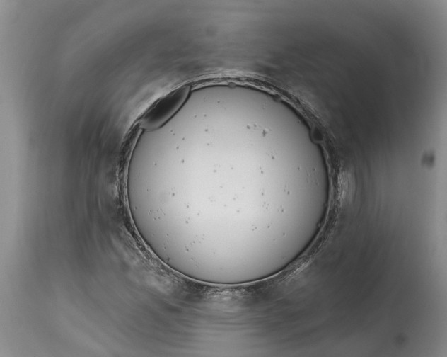 X0000114991165200911161506