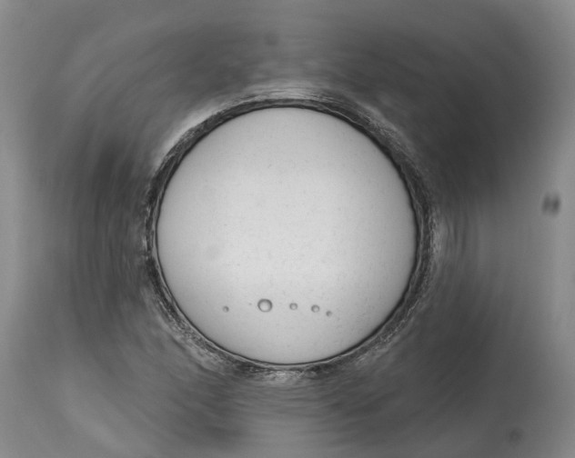 X0000114991166200911161506