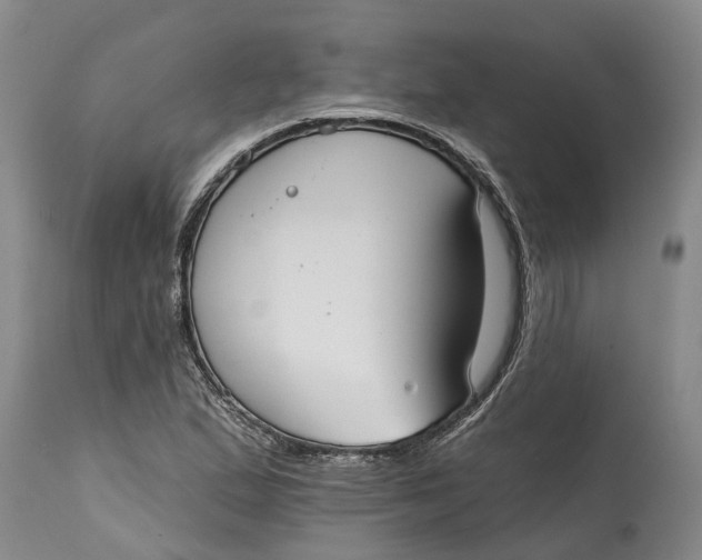 X0000114991167200911161506