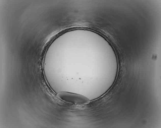 X0000114991168200911161506